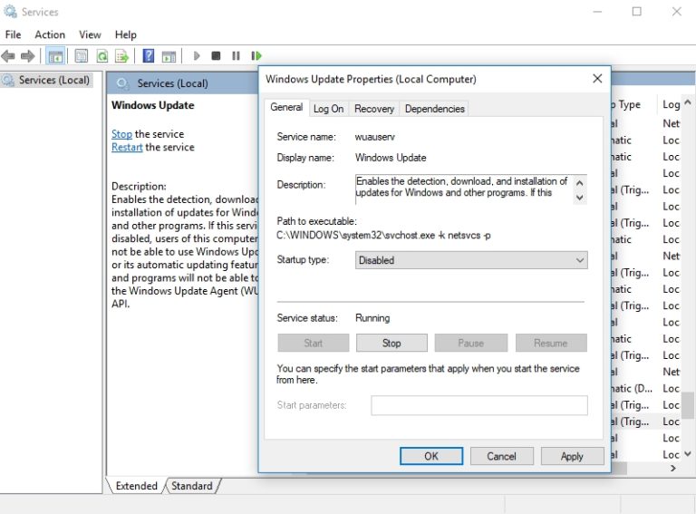 What if Windows Store closes immediately after opening? The Official